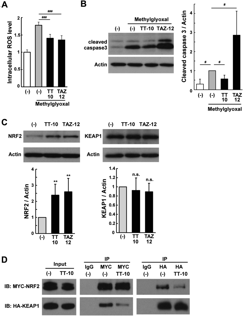 Figure 4