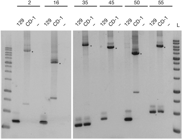 Figure 2 |