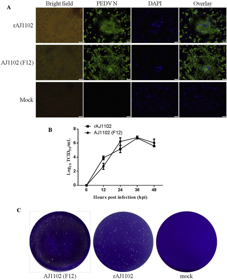 Fig. 2