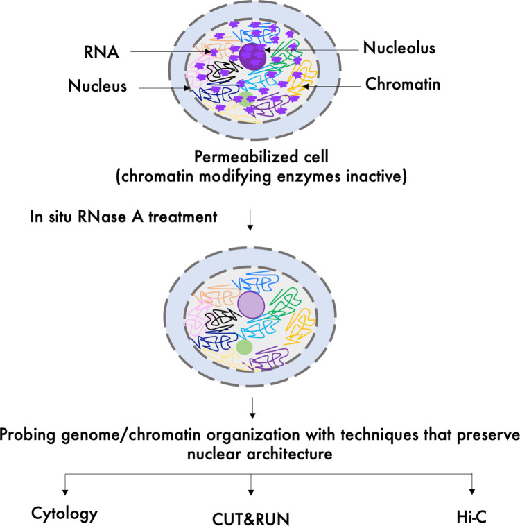 Figure 2.