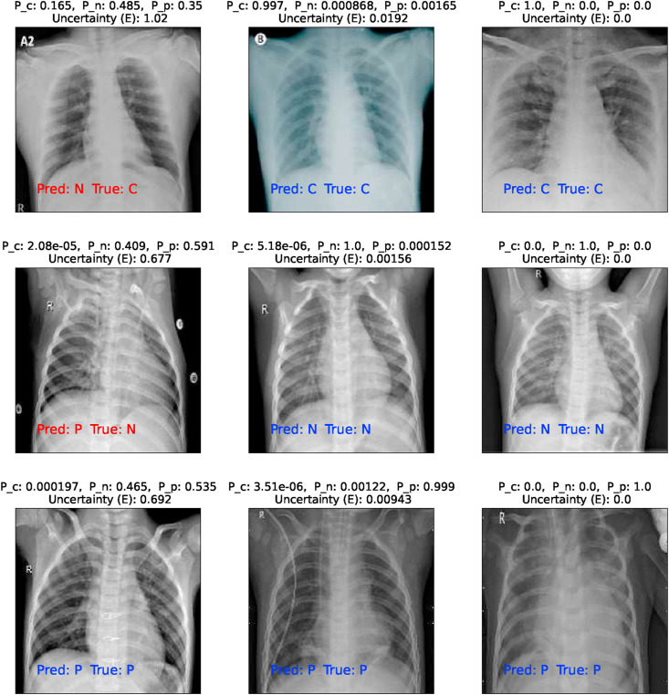 Fig. 8