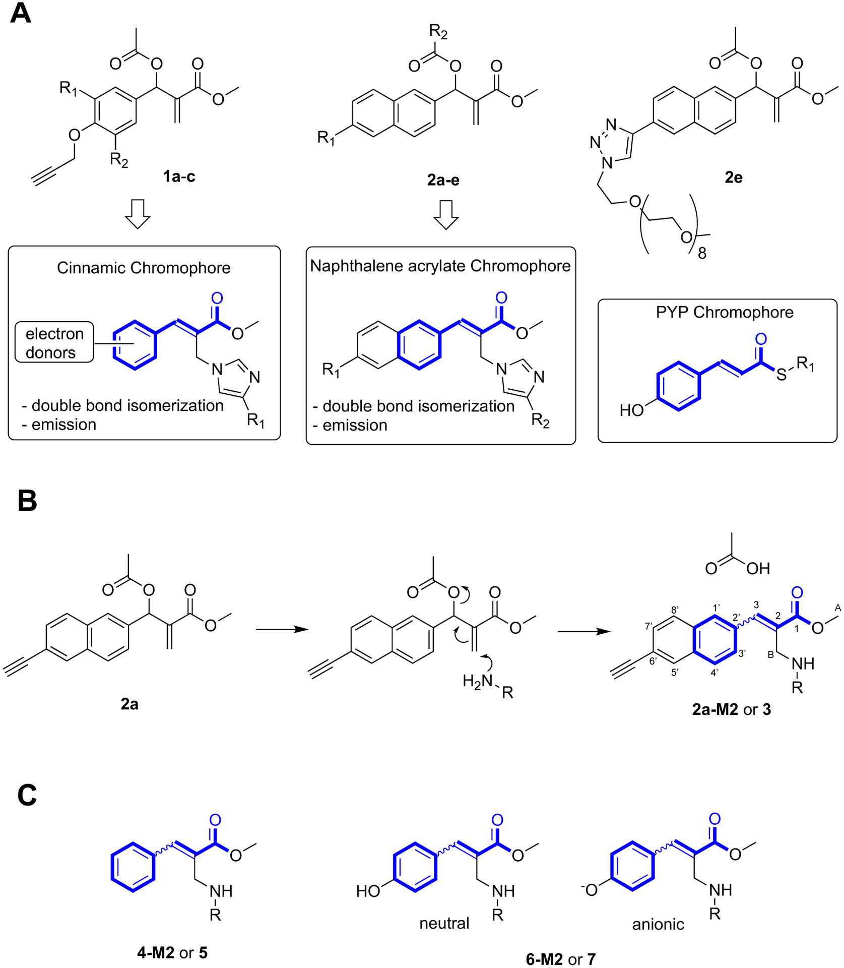 Figure 1.