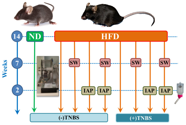 Figure 14