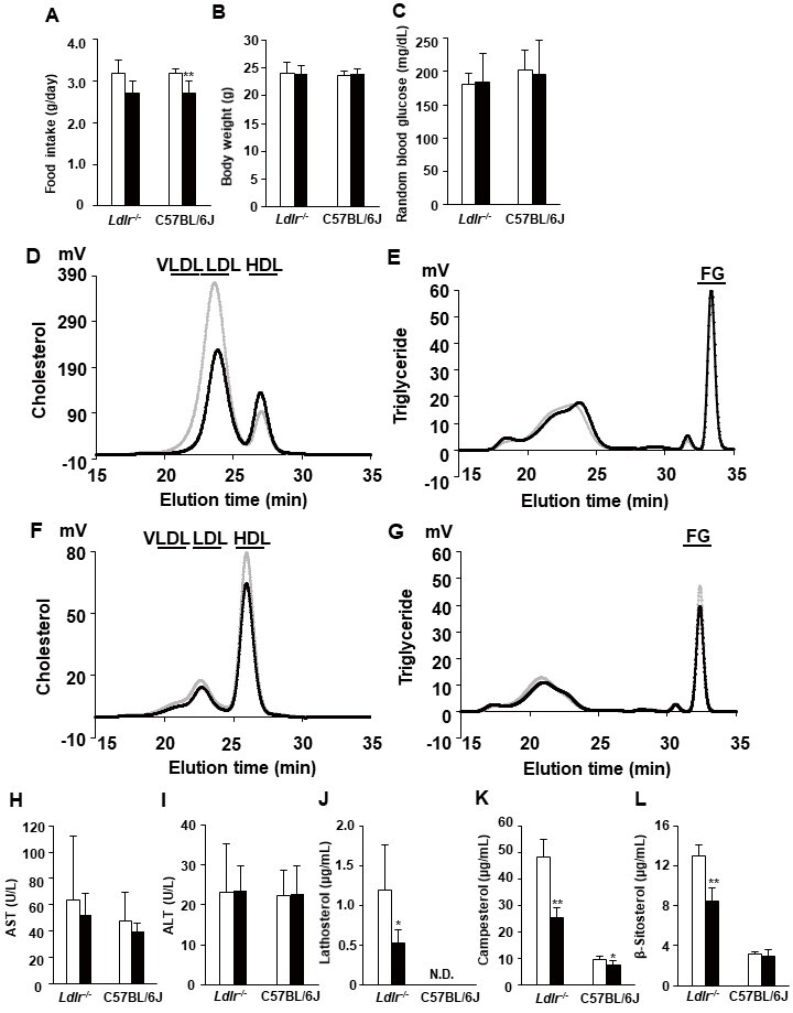 
Fig.1. Characteristics and serum lipid profiles in saline (control)- and exendin-4-treated Ldlr−/− and C57BL/6J mice
