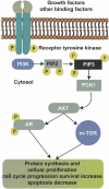 Fig 2: