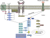 Fig 3:
