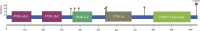 Fig 1:
