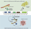 Image, graphical abstract
