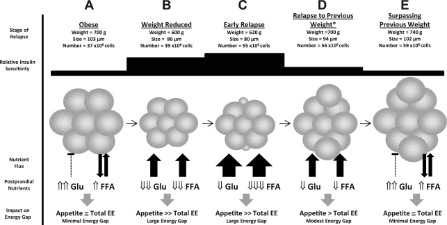 Fig. 7.