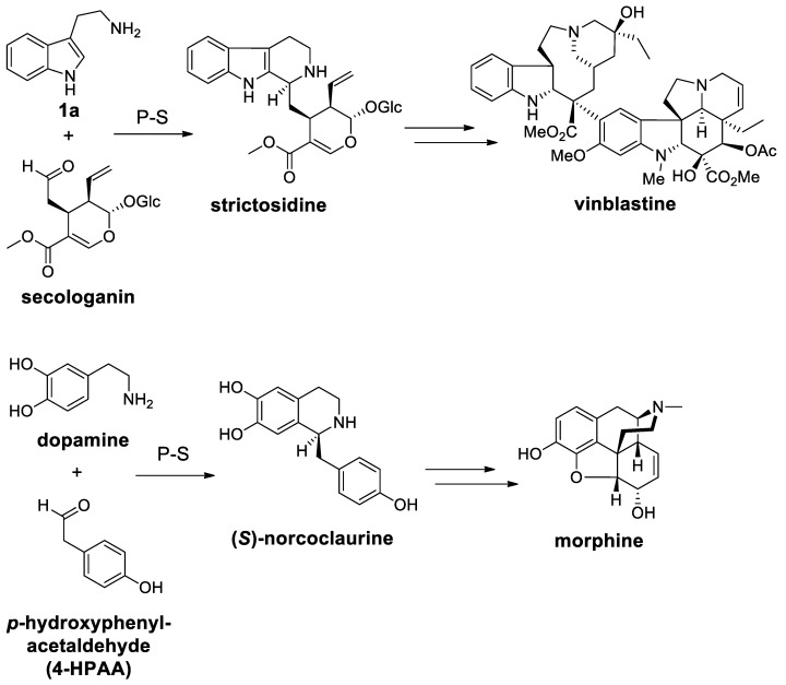 Scheme 72