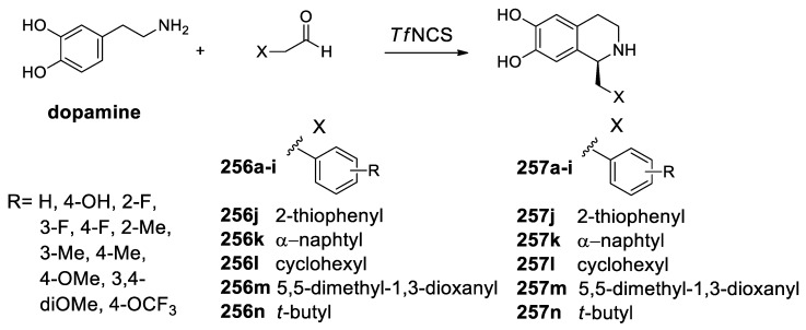 Scheme 78