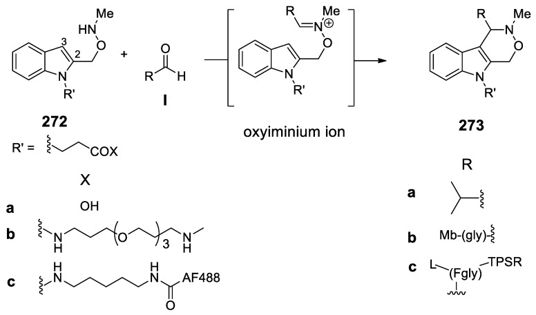 Scheme 85