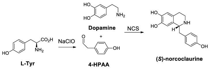 Scheme 77