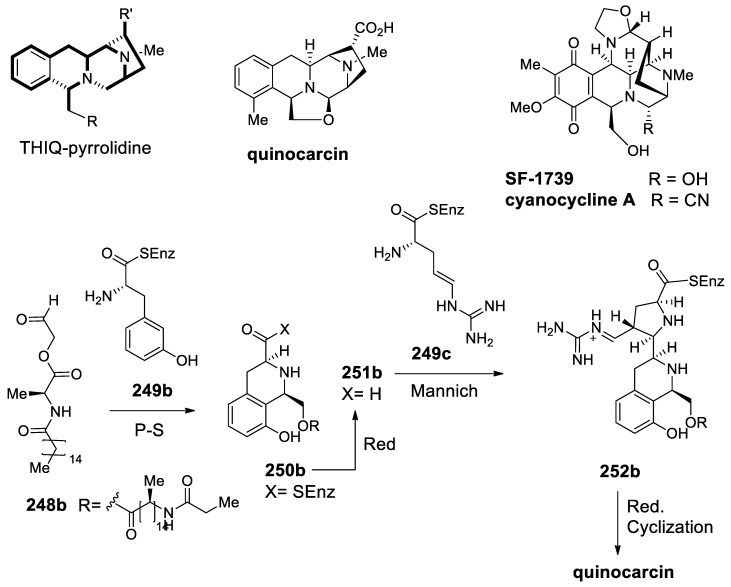 Scheme 75