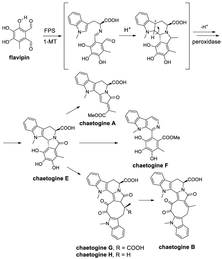 Scheme 86