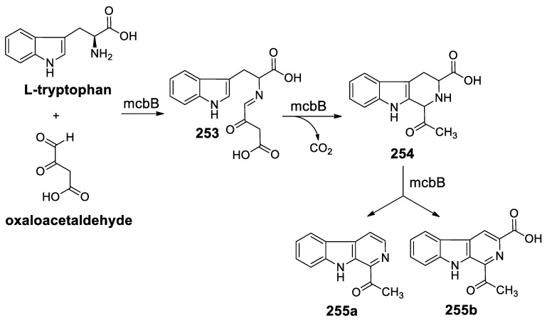 Scheme 76