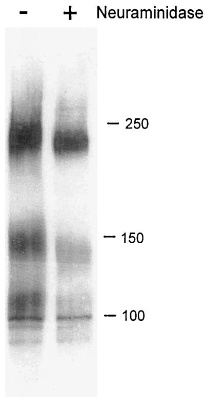 FIG. 5.