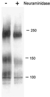 FIG. 5.