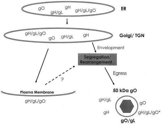 FIG. 8.