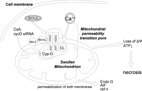 FIGURE 10.