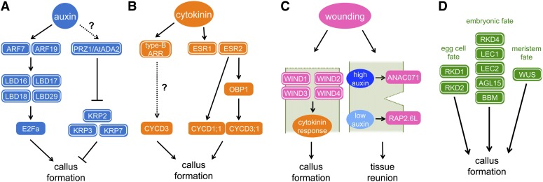Figure 4.