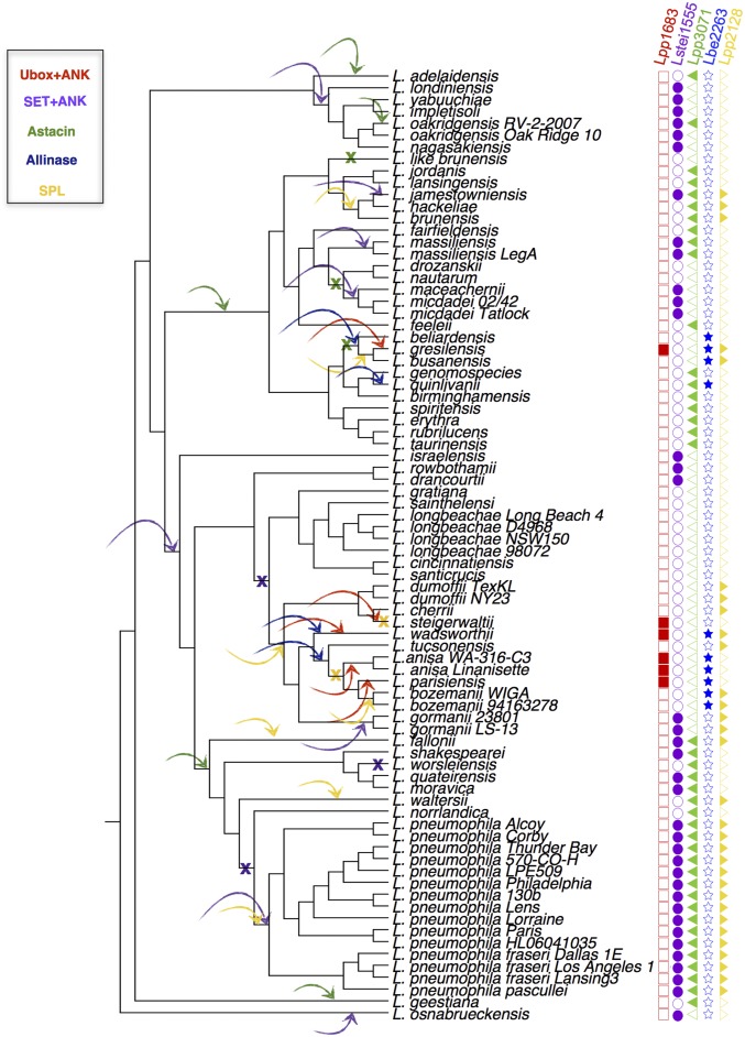 Fig. 4.