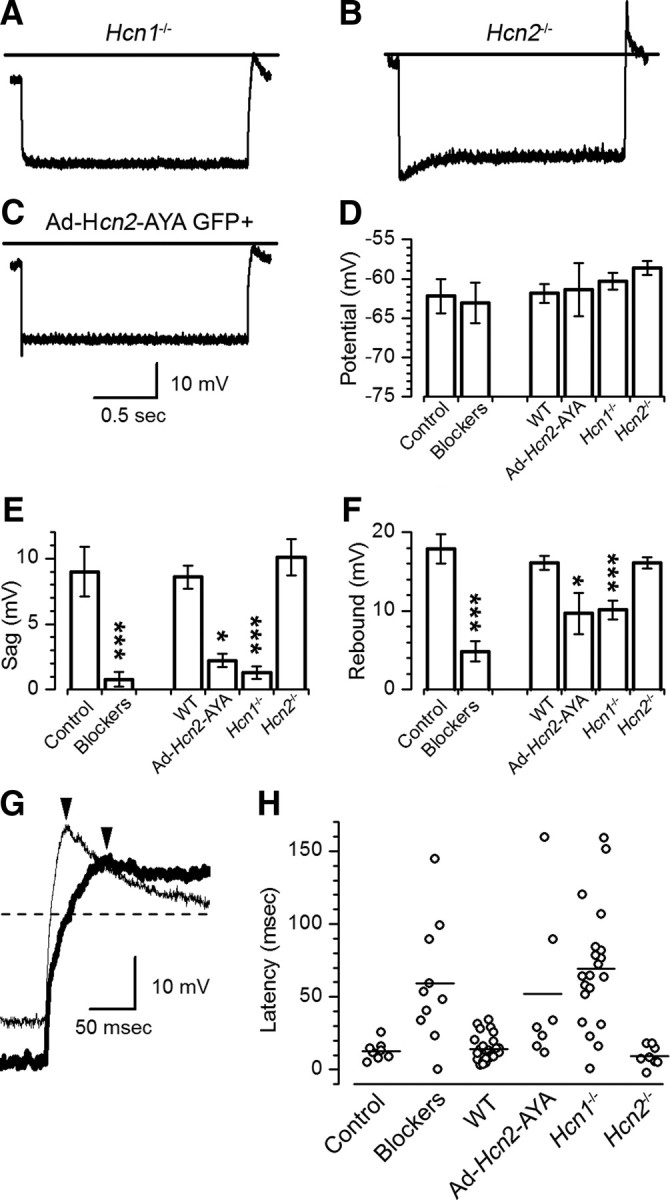 Figure 7.