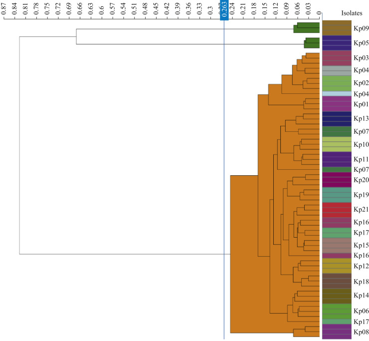 Figure 1