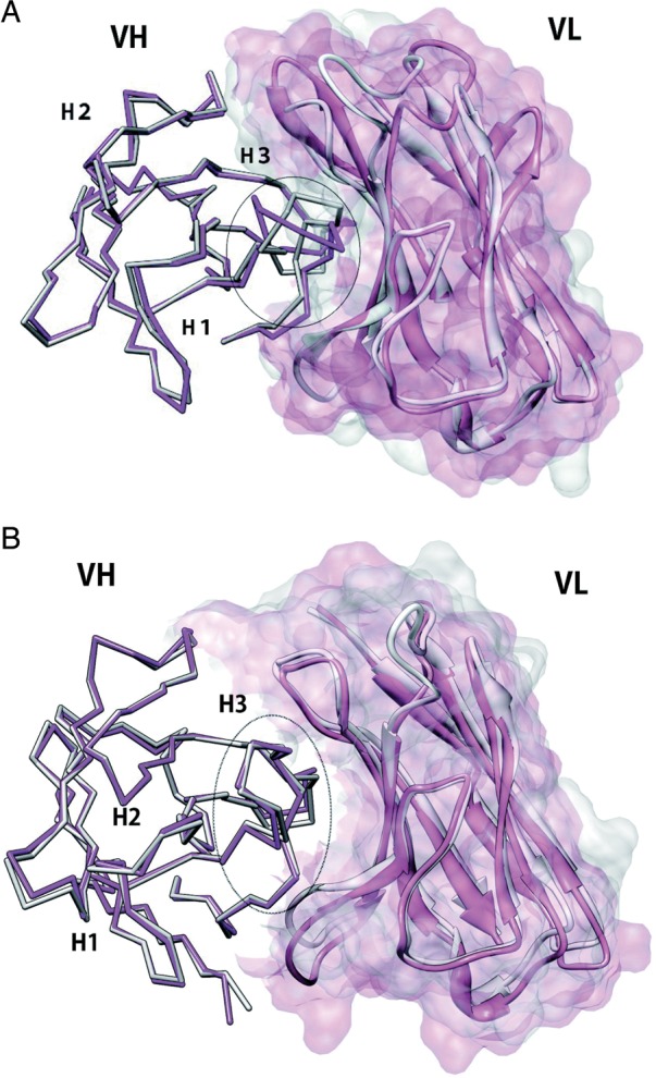 Fig. 3.