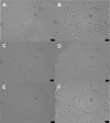 FIG 6