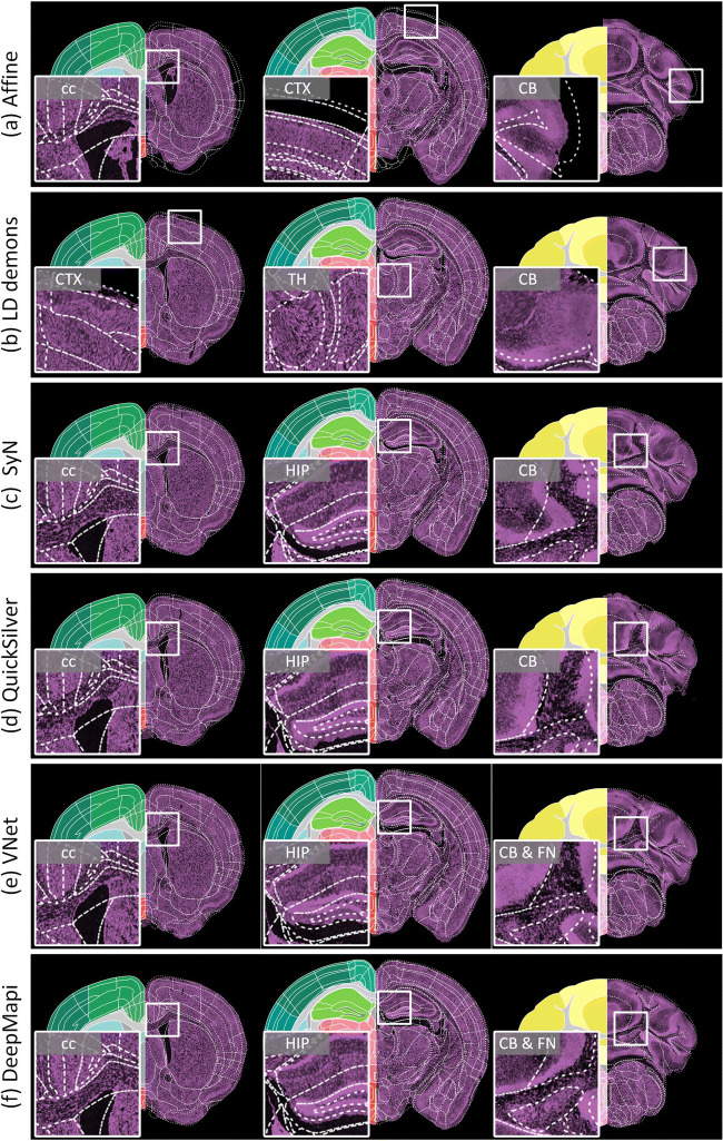 Fig. 5