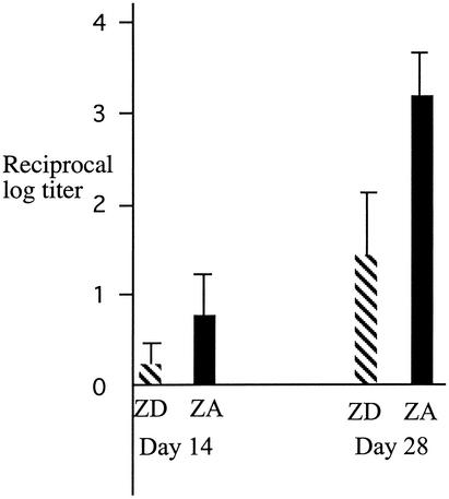 FIG. 1.