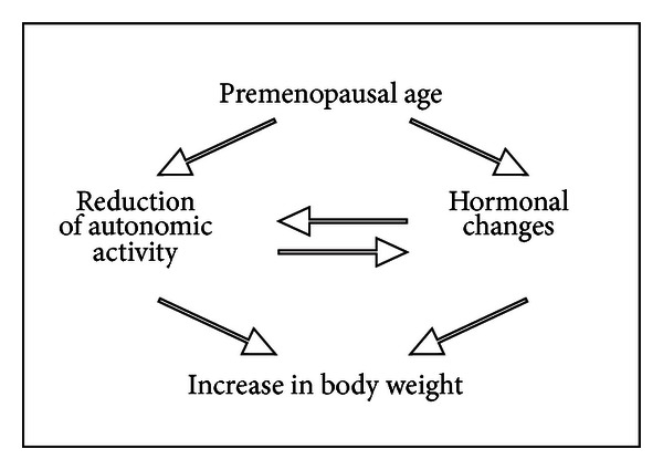 Scheme 4