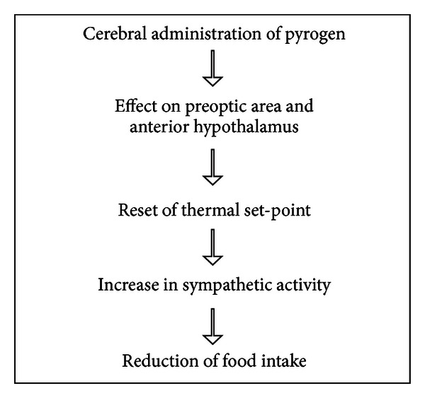 Scheme 3