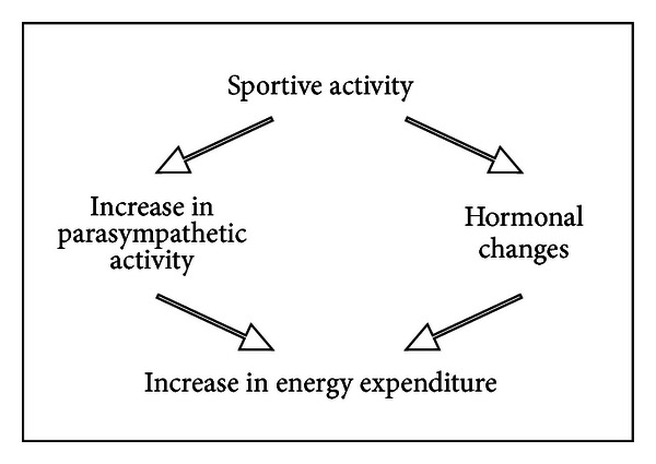 Scheme 5