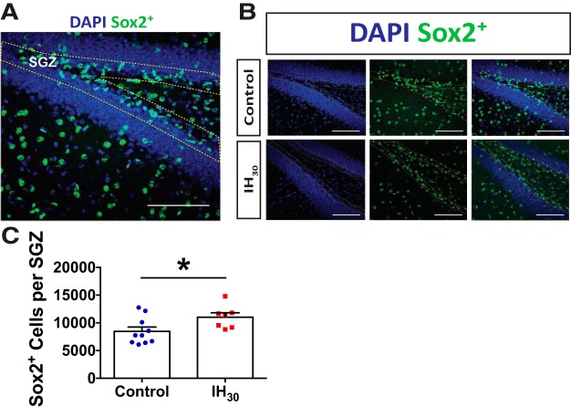 Figure 3.