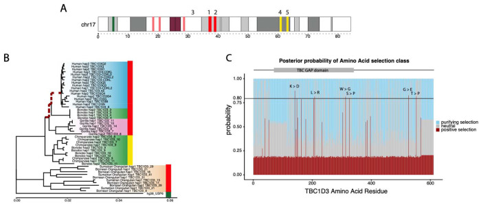 Figure 5: