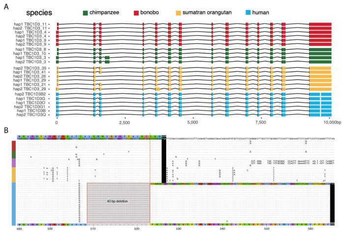 Figure 4: