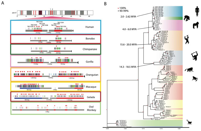 Figure 2: