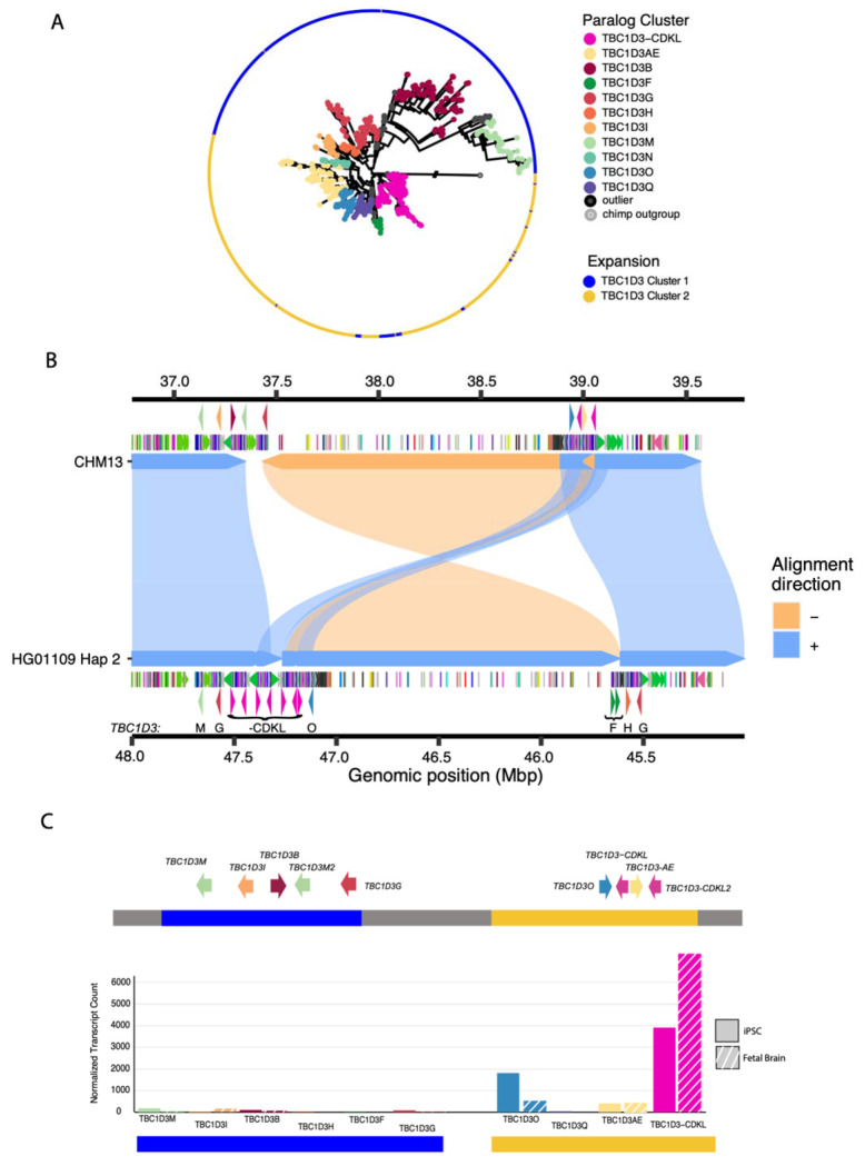 Figure 6: