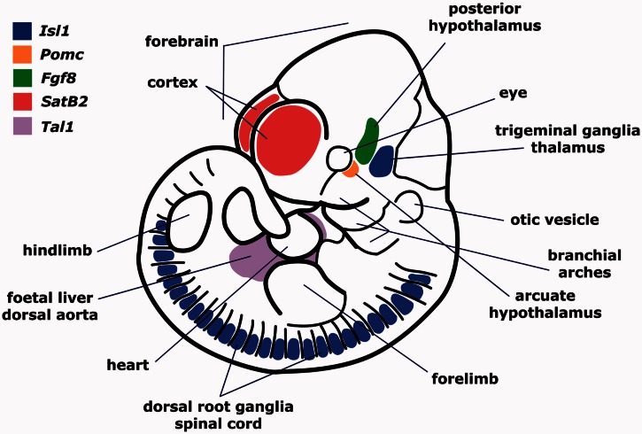 Fig. 2.