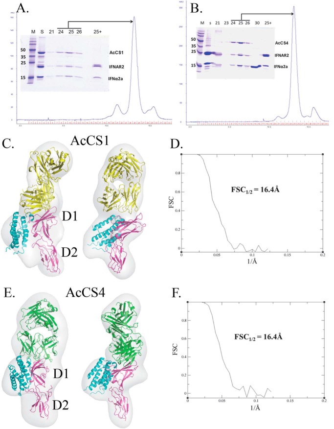 FIGURE 4.