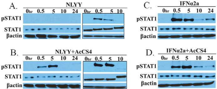 FIGURE 11.