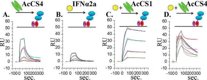 FIGURE 3.