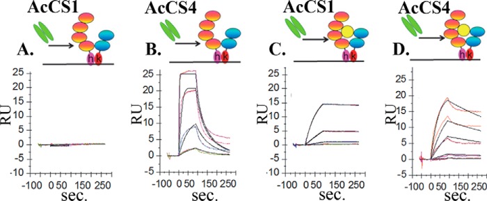 FIGURE 2.