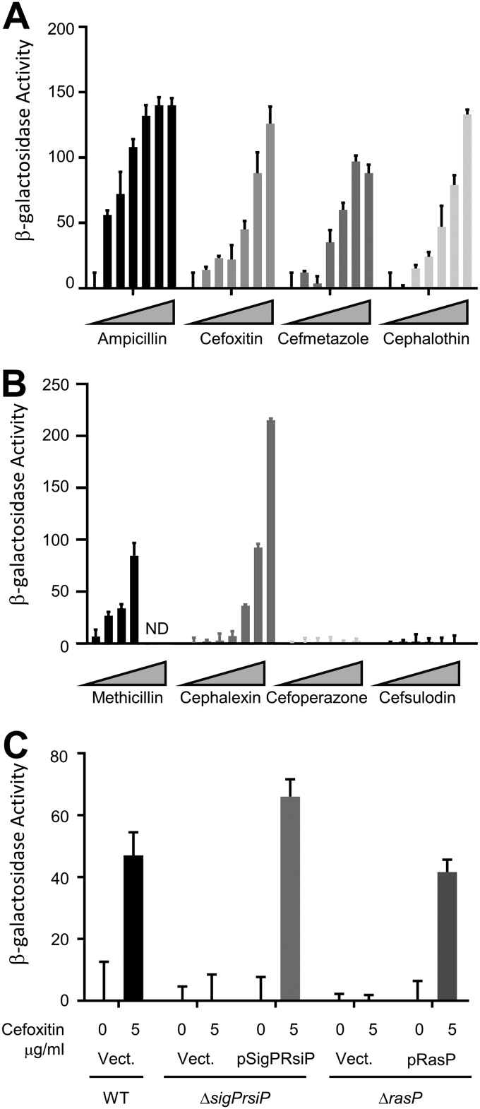 FIG 2