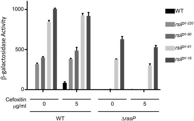 FIG 5