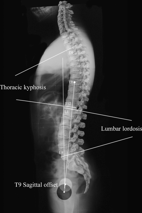 Fig. 2