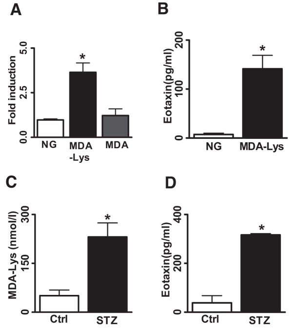 FIG. 6