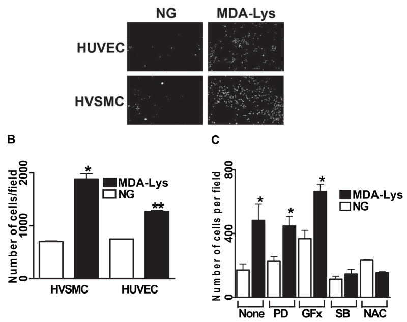 FIG. 7